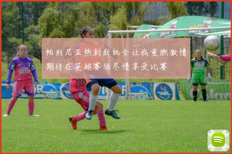 帕利尼亚热刺新机会让我重燃激情期待在英超赛场尽情享受比赛