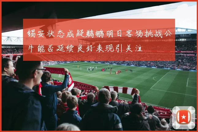 锡安状态成疑鹈鹕明日客场挑战公牛能否延续良好表现引关注