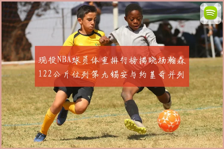 现役NBA球员体重排行榜揭晓杨瀚森122公斤位列第九锡安与约基奇并列第三