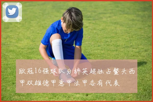 欧冠16强球队分析英超独占鳌头西甲双雄德甲意甲法甲各有代表