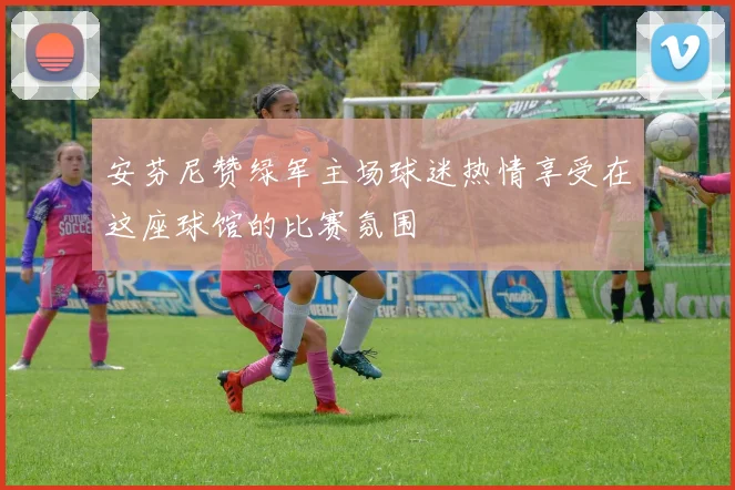 安芬尼赞绿军主场球迷热情享受在这座球馆的比赛氛围