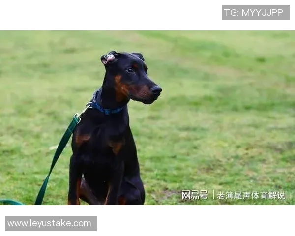 伊萨克花费三万镑购杜宾犬护卫自遭死亡威胁后安全措施升级